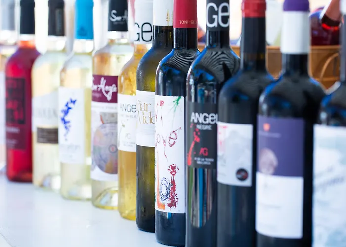 Ξενοδοχείο La Concha Soul Boutique Παγκουέρα